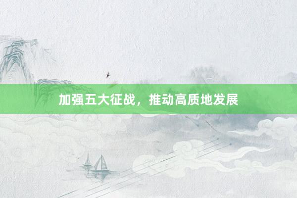 加强五大征战，推动高质地发展